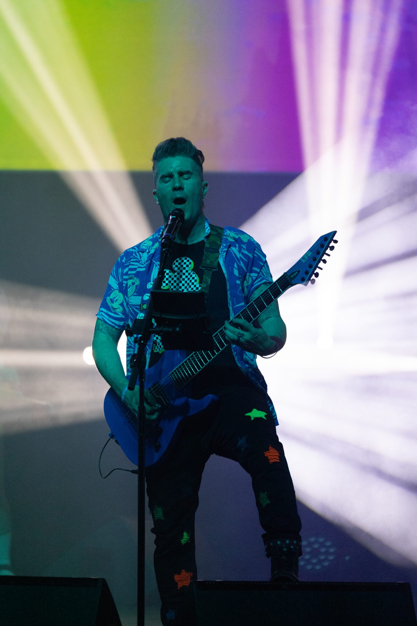 Photo 112 from Can You Feel The Punk Tonight