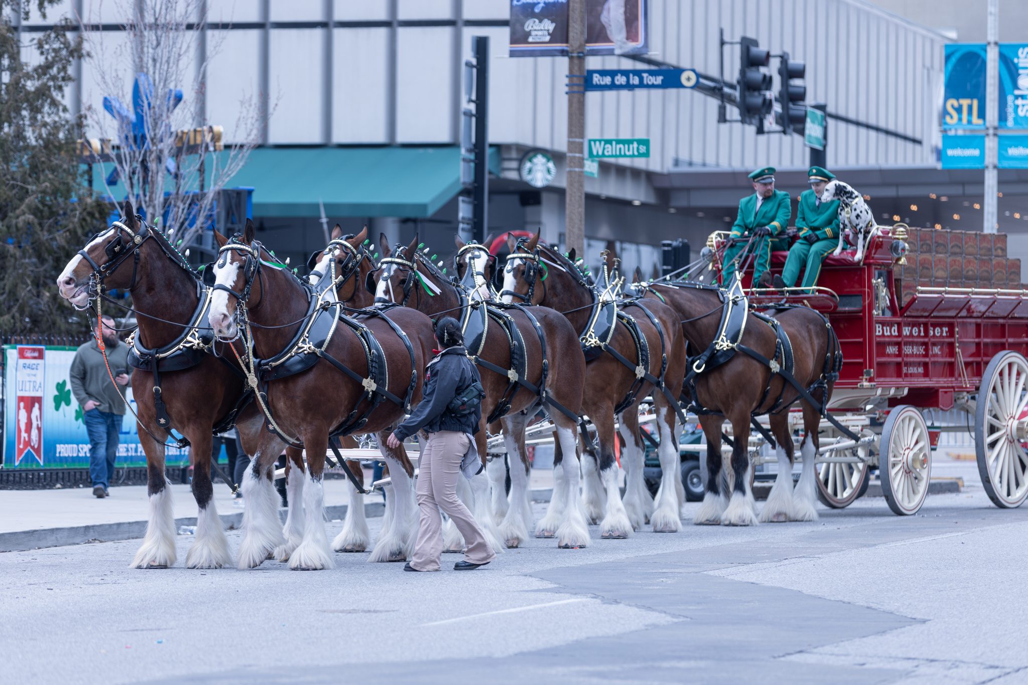 Photo 49 from St Patrick's Day Parade 2023