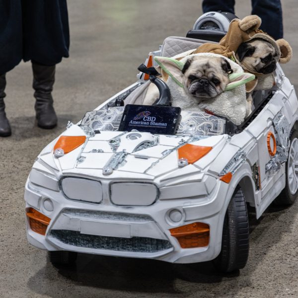 Photo 42 from Planet Comicon 2025
