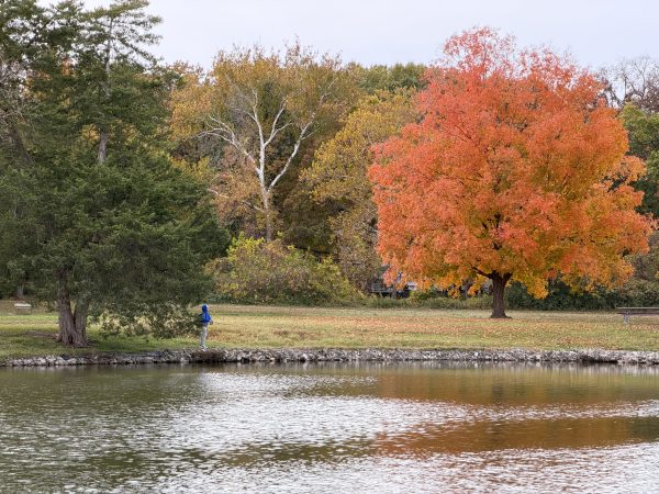 Photo 8 from 2025 Fall Picnic