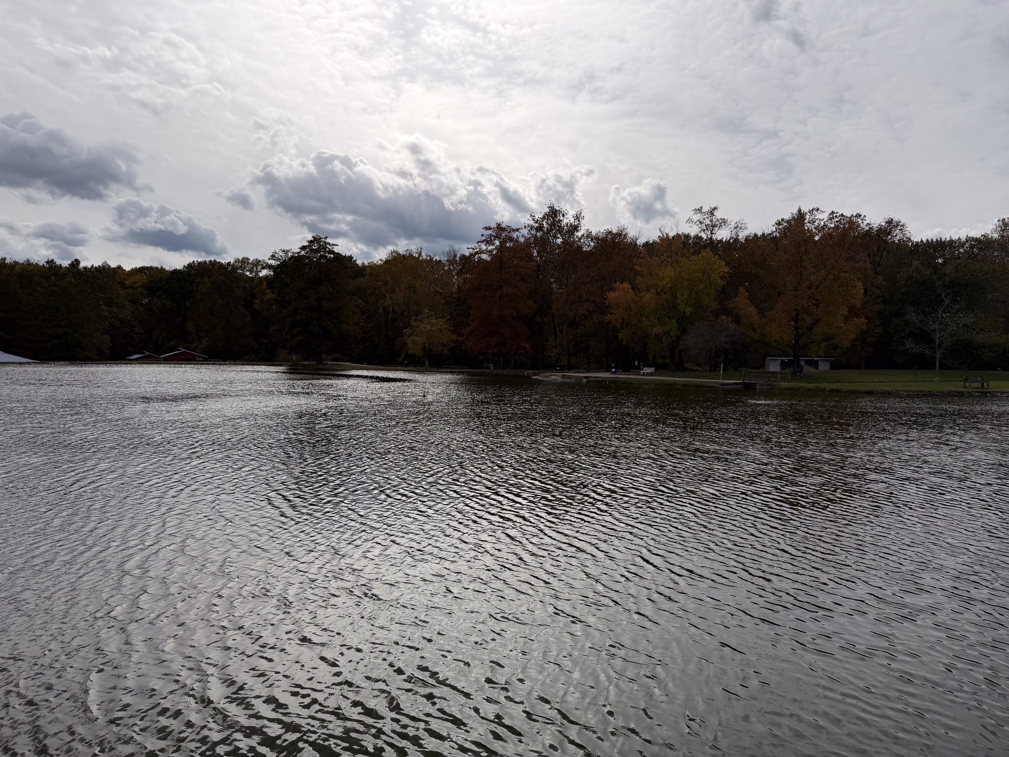 Photo 7 from 2025 Fall Picnic