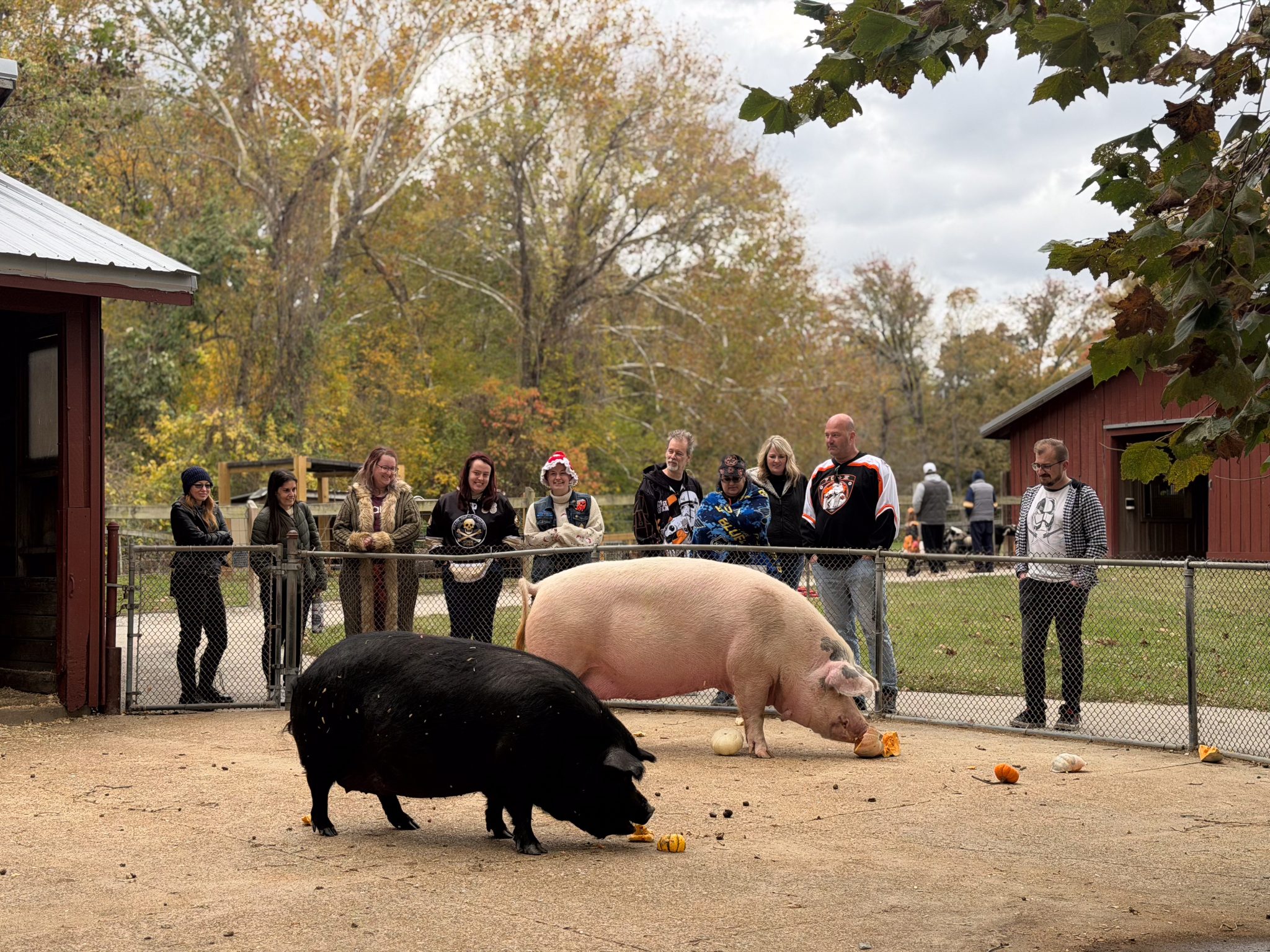 Photo 91 from 2025 Fall Picnic