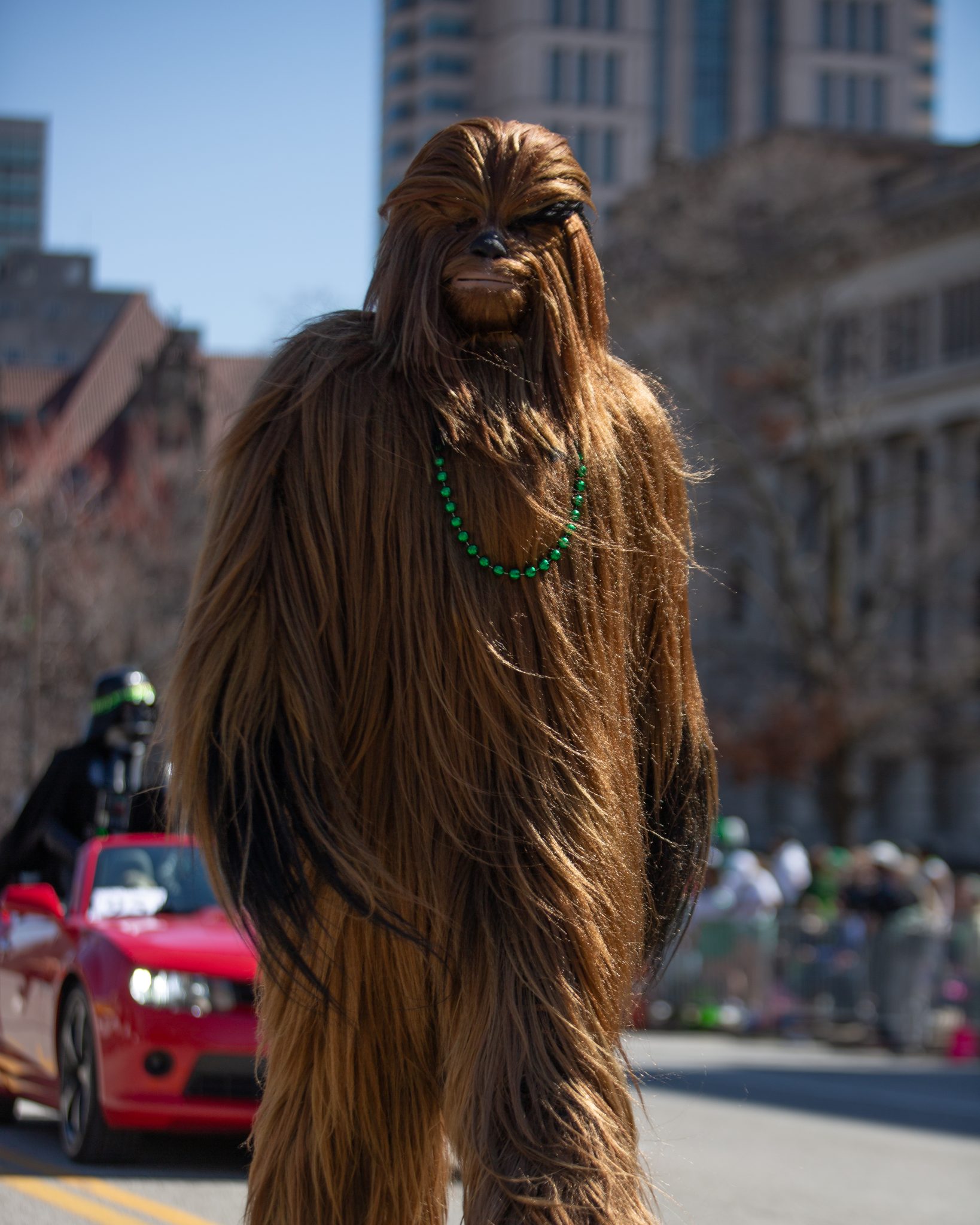 Photo 63 from STL St Pat's Parade 2026